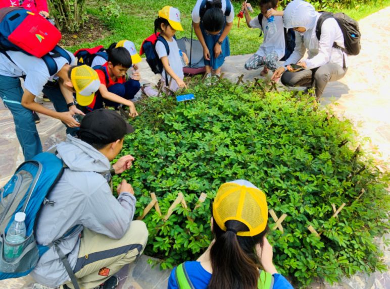 西雙版納研學(xué)夏令營