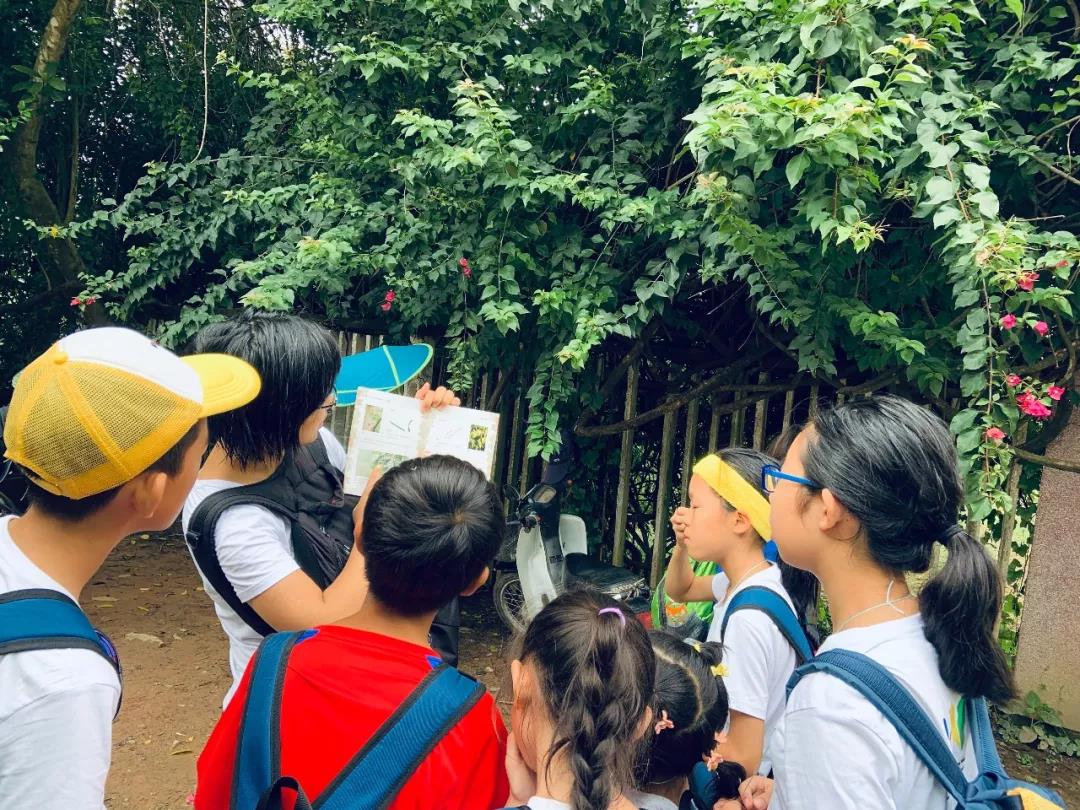 西雙版納研學(xué)夏令營