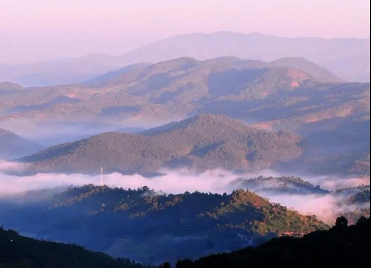 西雙版納研學(xué)夏令營