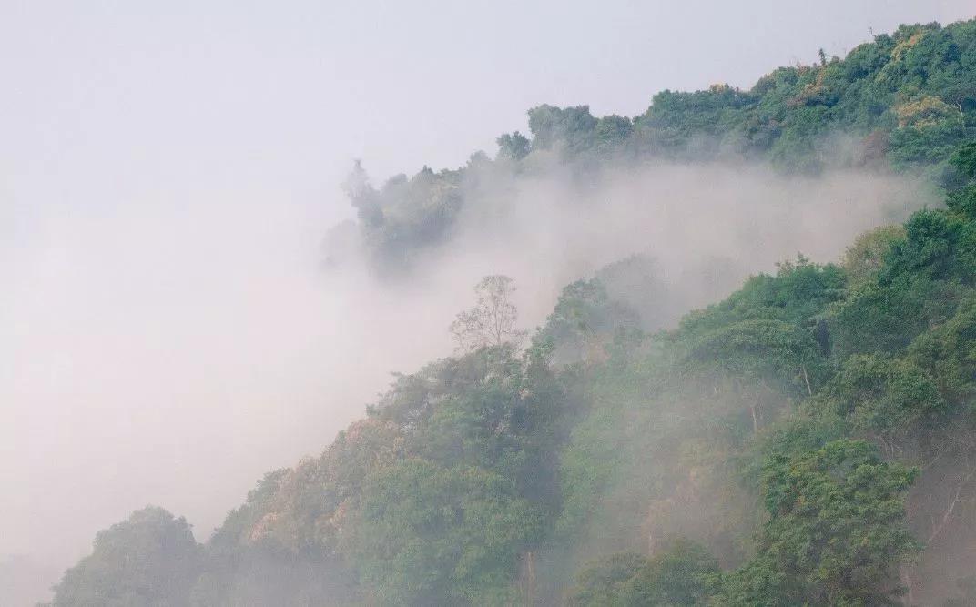 西雙版納研學(xué)夏令營