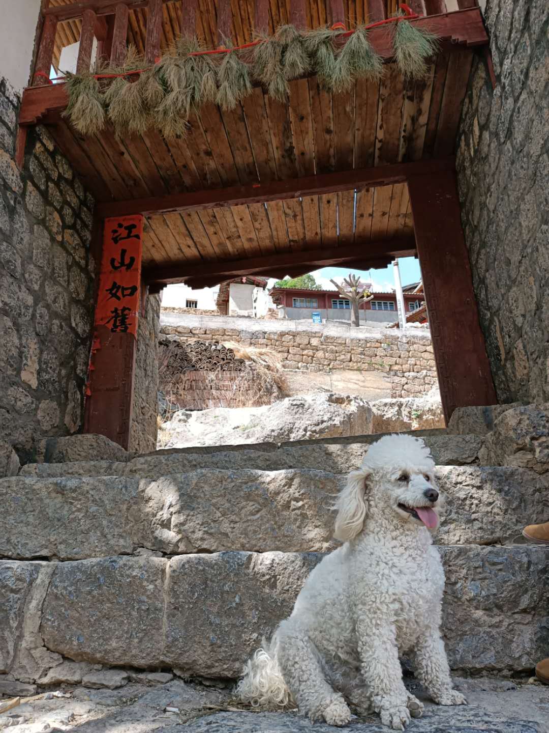 西雙版納