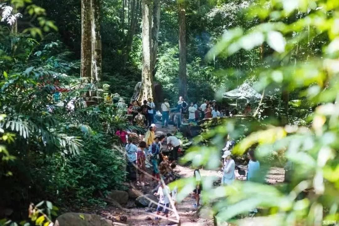 西雙版納
