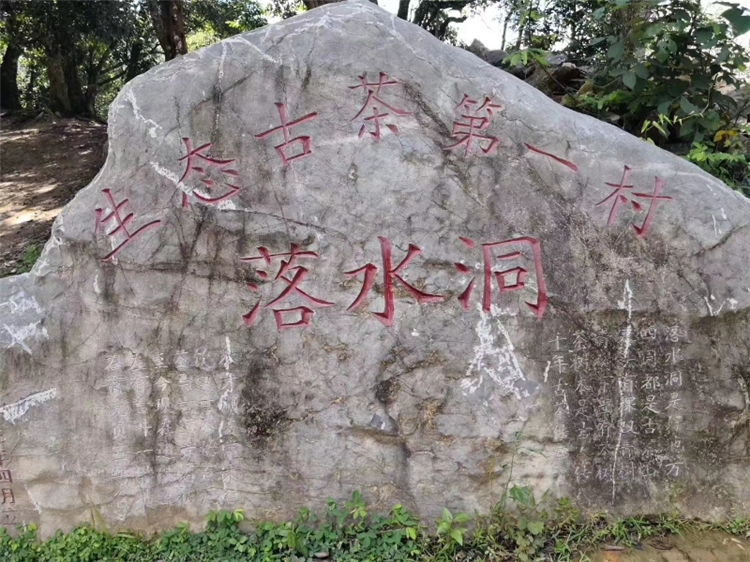 版納旅游