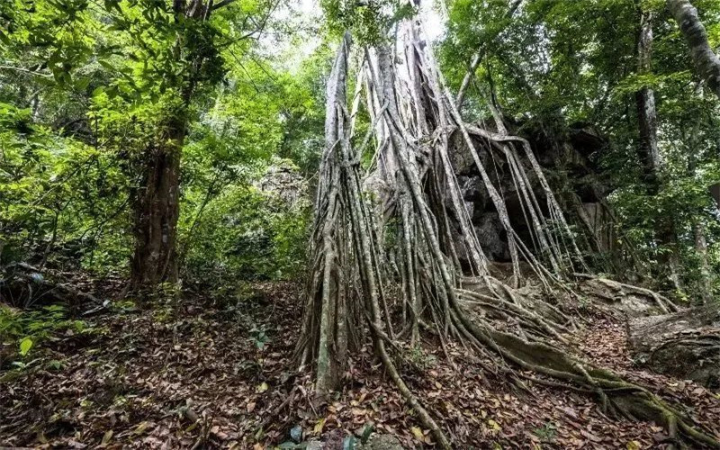 西雙版納研學(xué)