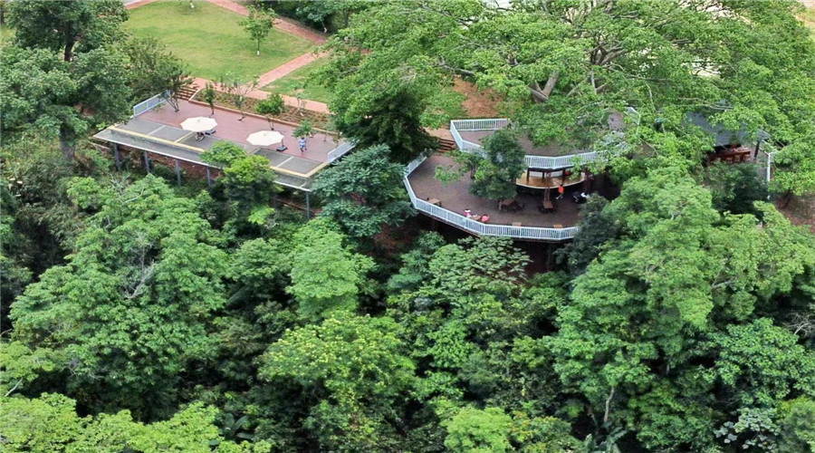 西雙版納旅游
