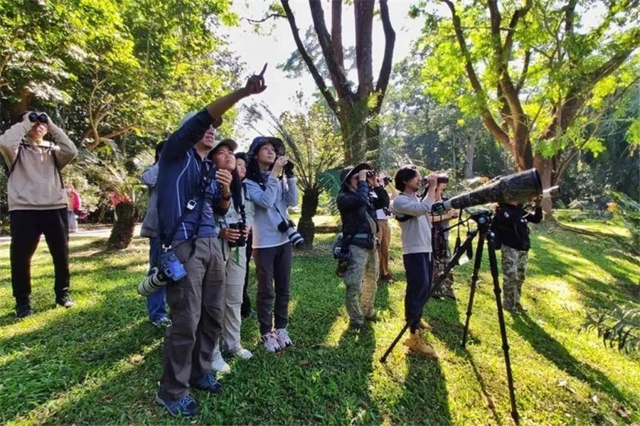 西雙版納旅游