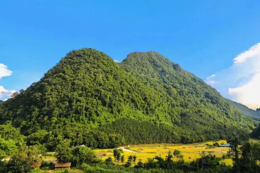探索夢(mèng)幻秘境，解鎖勐遠(yuǎn)仙境：一場(chǎng)說走就走的自然奇遇之旅